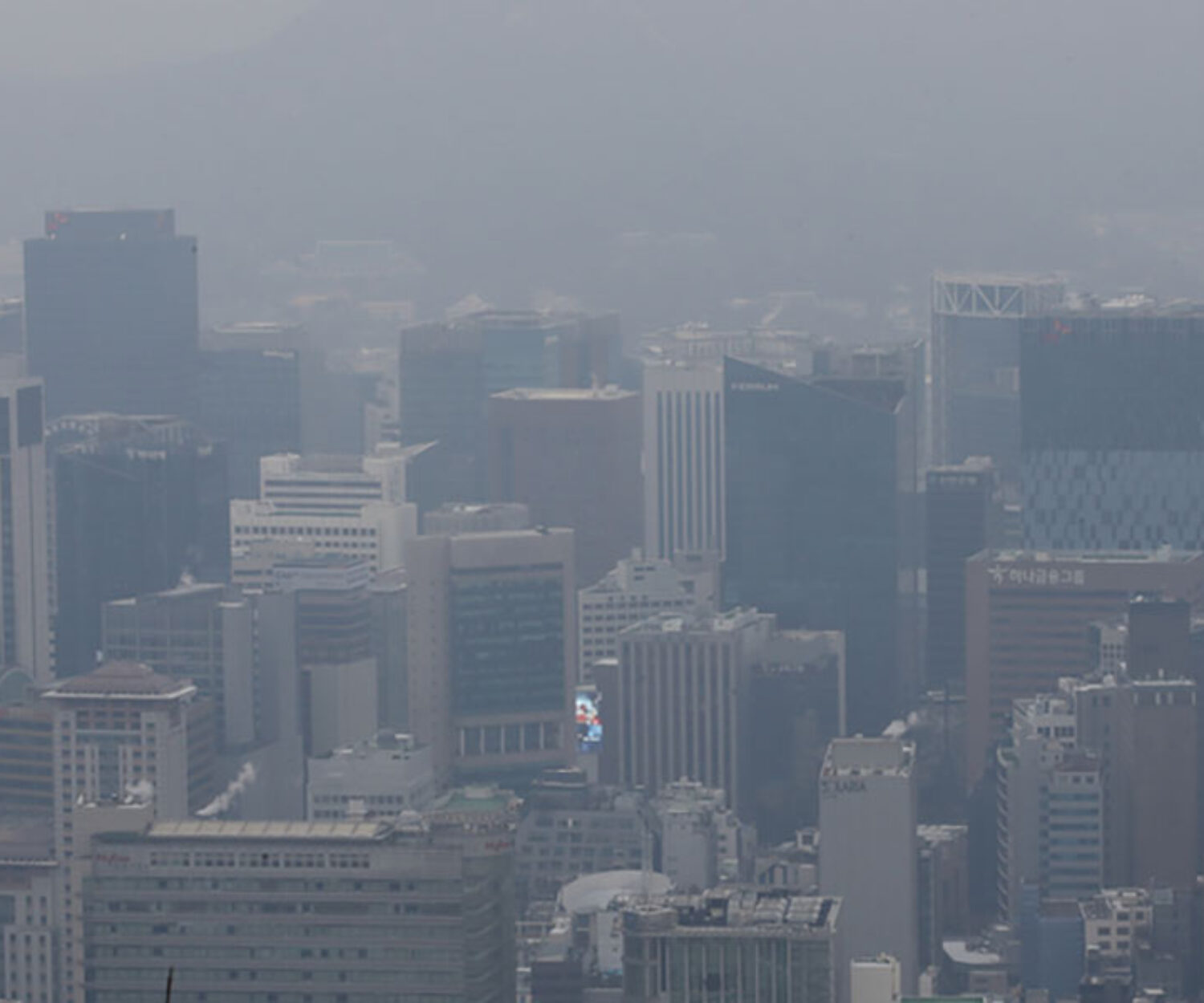  ª—ø¨ º≠øÔ
    (º≠øÔ=ø¨«’¥∫Ω∫) ¿Ã¡¯øÌ ±‚¿⁄ = 2¿œ ø¿»ƒ º≠øÔ µµΩ…¿Ã πÃºº∏’¡ˆ∑Œ ª—ø∏∞‘ ∫∏¿Ã∞Ì ¿÷¥Ÿ. 2022.1.2
    cityboy@yna.co.kr/2022-01-02 14:23:55/
