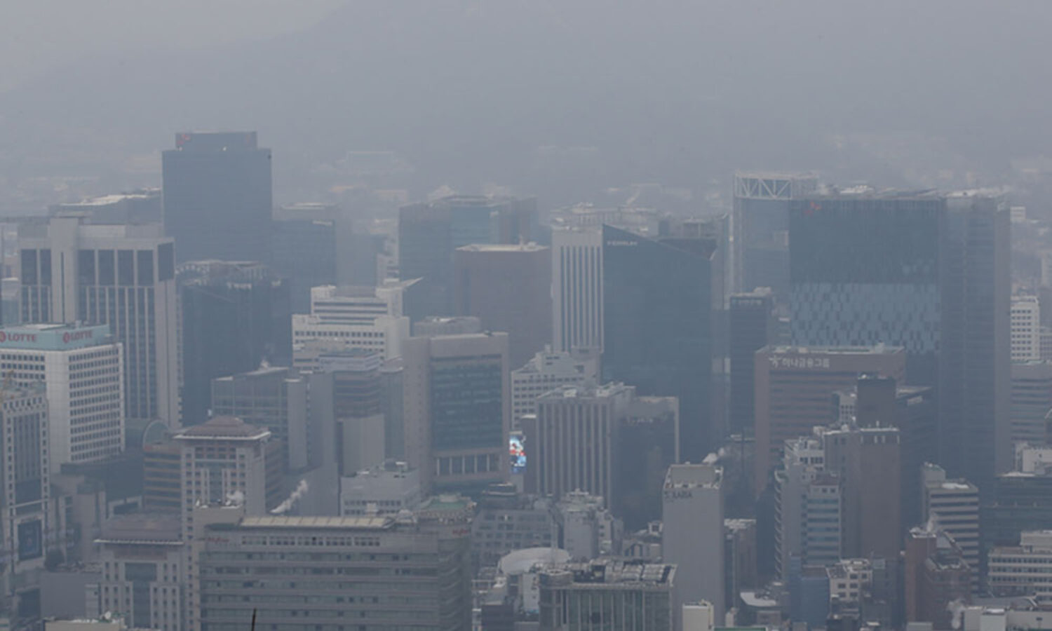  ª—ø¨ º≠øÔ
    (º≠øÔ=ø¨«’¥∫Ω∫) ¿Ã¡¯øÌ ±‚¿⁄ = 2¿œ ø¿»ƒ º≠øÔ µµΩ…¿Ã πÃºº∏’¡ˆ∑Œ ª—ø∏∞‘ ∫∏¿Ã∞Ì ¿÷¥Ÿ. 2022.1.2
    cityboy@yna.co.kr/2022-01-02 14:23:55/
